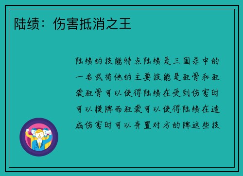 陆绩：伤害抵消之王